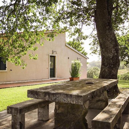 Country House Poggio Aione Guest House Catabbio Ngoại thất bức ảnh