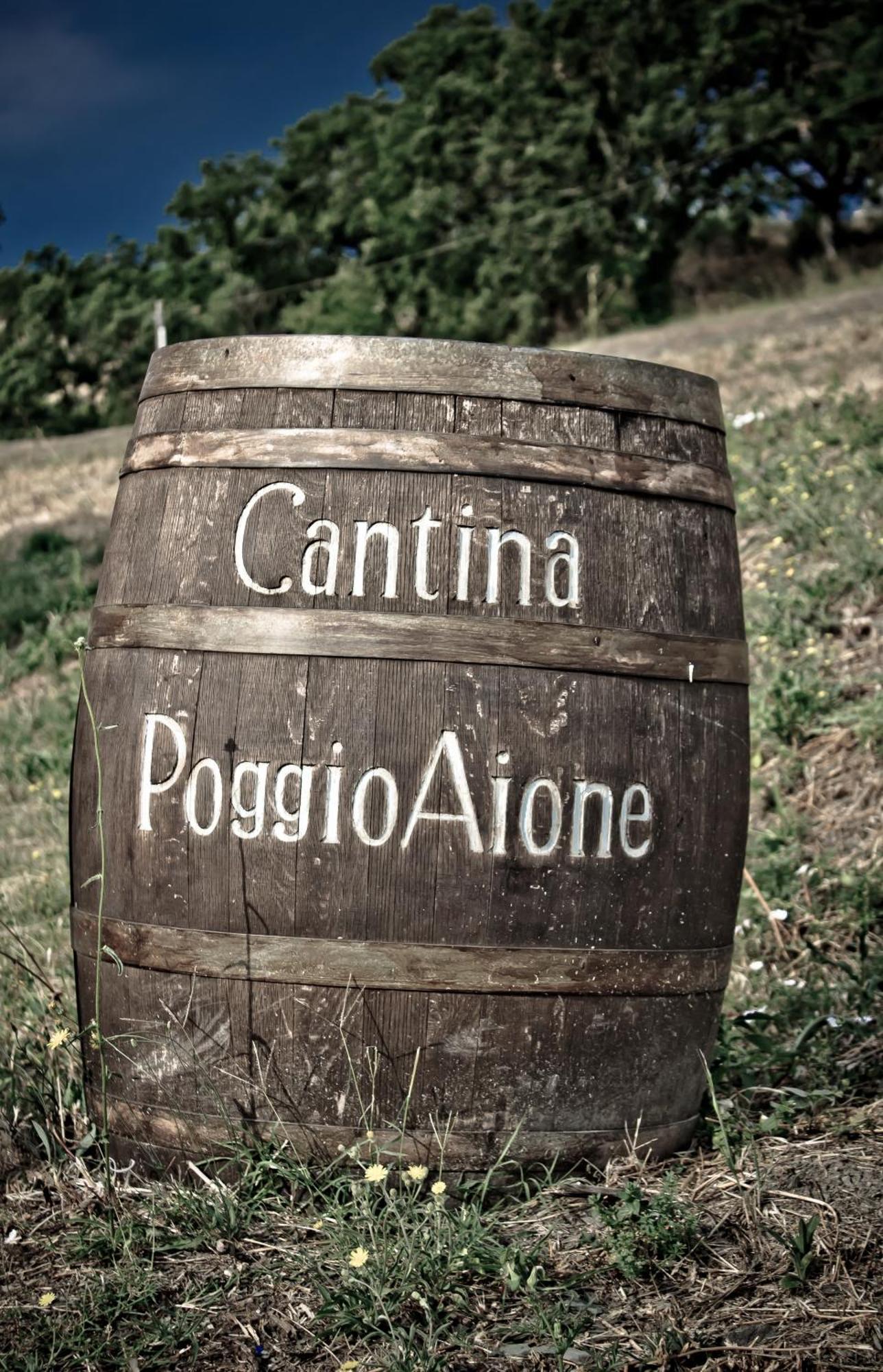 Country House Poggio Aione Guest House Catabbio Ngoại thất bức ảnh