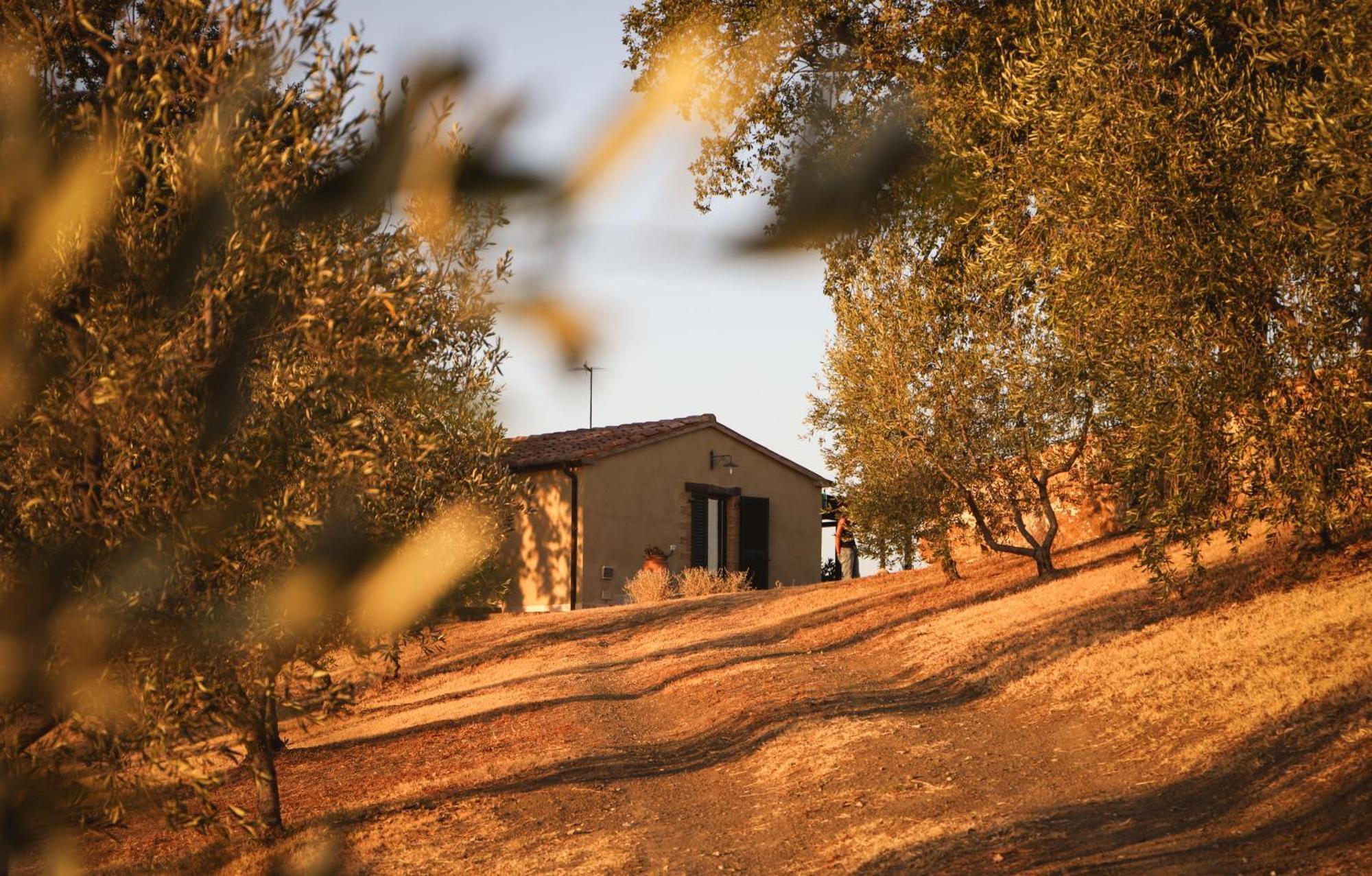 Country House Poggio Aione Guest House Catabbio Ngoại thất bức ảnh