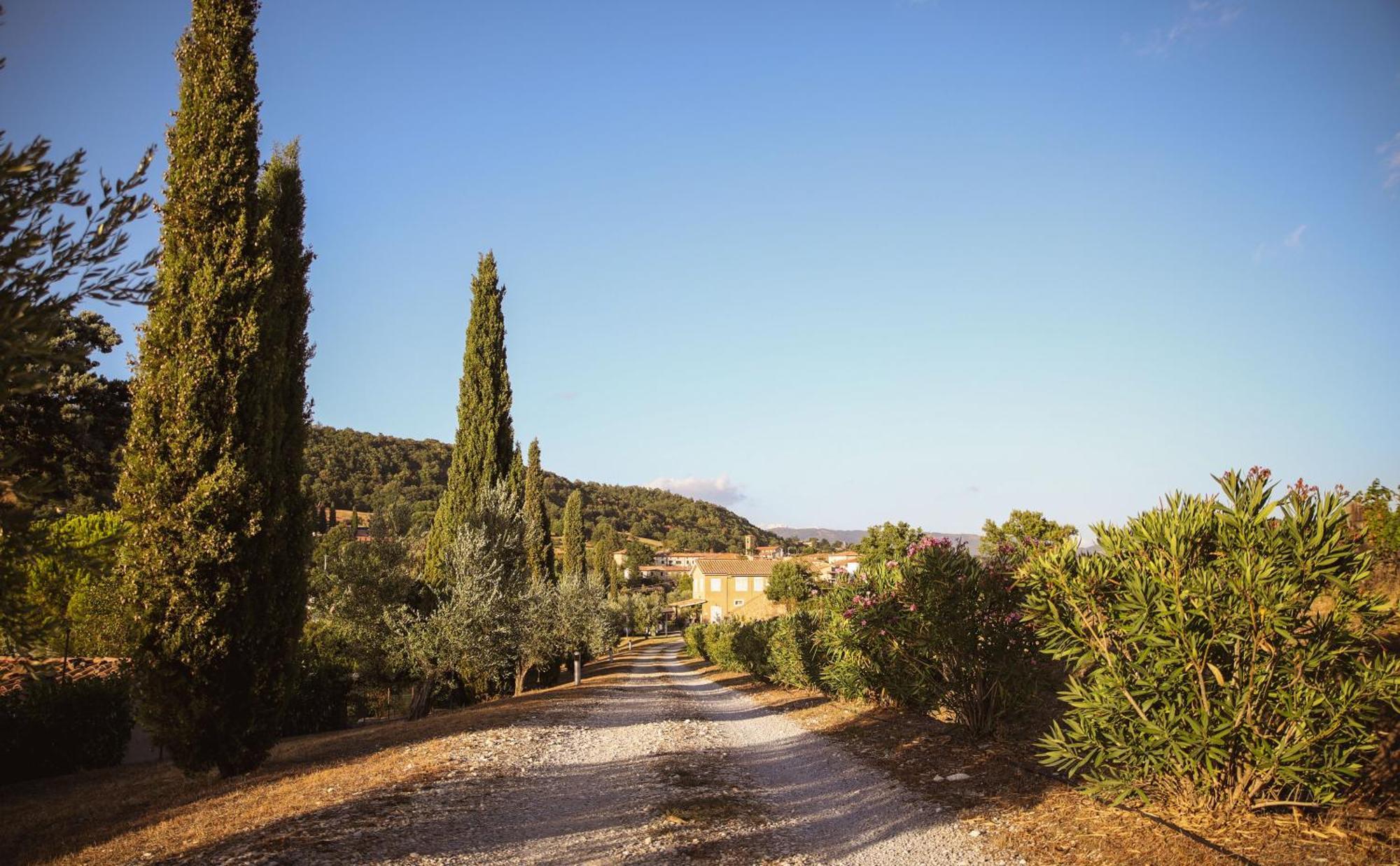 Country House Poggio Aione Guest House Catabbio Ngoại thất bức ảnh