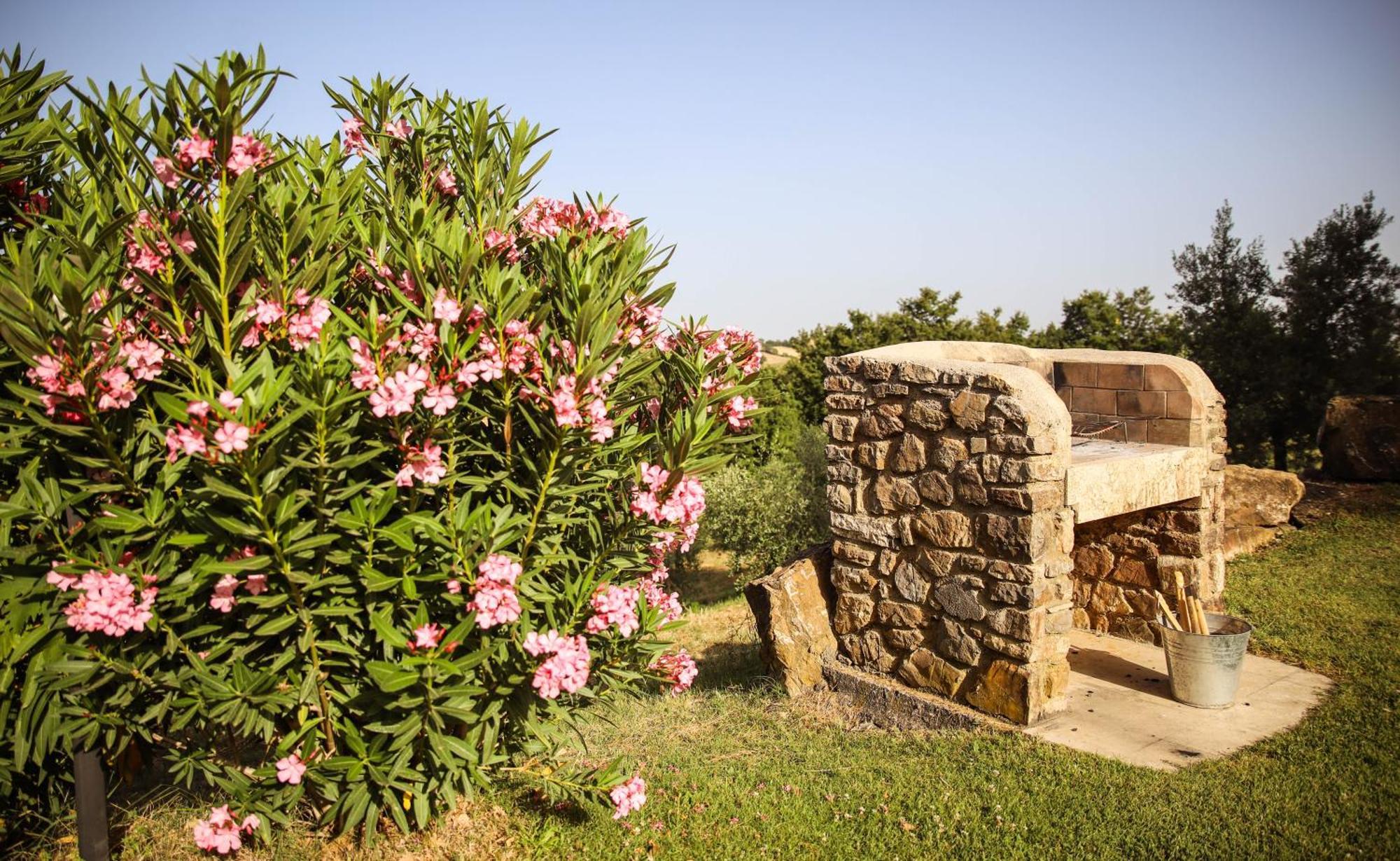 Country House Poggio Aione Guest House Catabbio Ngoại thất bức ảnh
